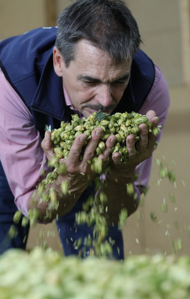 LfL-Mitarbeiter Anton Lutz prüft die Qualität der Dolden_Gleixner LfL