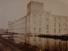 OLYMPUS DIGITAL CAMERA