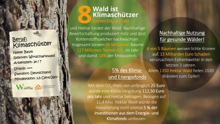 PK_Wald_Grafik_neu_page-0001
