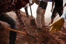 Das Team um Dr. Nizar Ibrahim gräbt über 30 Schwanzwirbel vom Spinosaurus an derselben Fundstelle aus