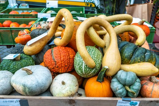 Schmankerlstrasse-1540045