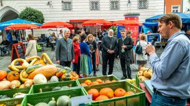 Schmankerlstrasse-1540057