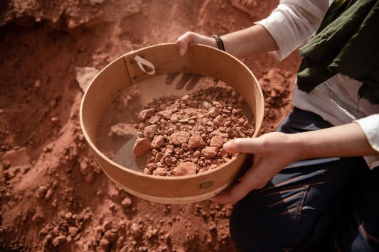 Das Team um Dr. Nizar Ibrahim gräbt über 30 Schwanzwirbel vom Spinosaurus an derselben Fundstelle aus