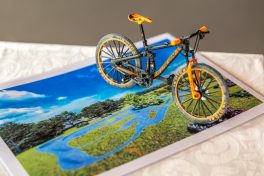 Sparkassenstiftung-1090964