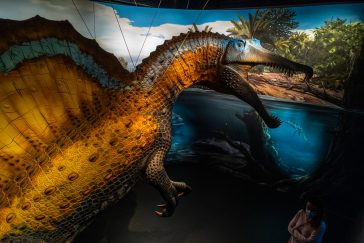 Spinosaurus-Lokschuppen-1020290