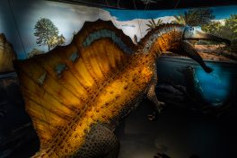 Spinosaurus-Lokschuppen-1020300