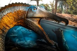 Spinosaurus-Lokschuppen-1500246