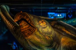 Spinosaurus-Lokschuppen-1500259