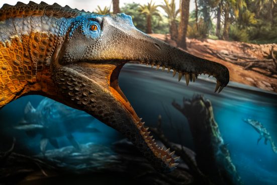 Spinosaurus-Lokschuppen-1500279