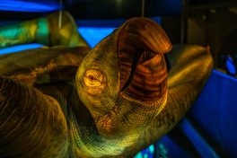 Spinosaurus-Lokschuppen-1500281