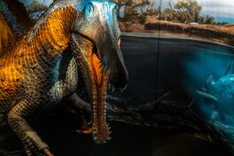 Spinosaurus-Lokschuppen-1500284