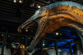 Spinosaurus-Lokschuppen-1500297