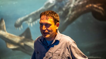 Spinosaurus-Lokschuppen-1500300