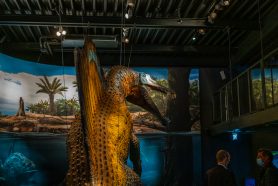 Spinosaurus-Lokschuppen-1500304