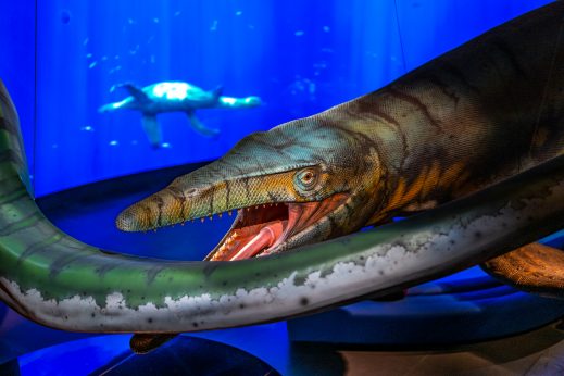 Spinosaurus-Lokschuppen-1500330