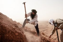 Das Team um Dr. Nizar Ibrahim gräbt über 30 Schwanzwirbel vom Spinosaurus an derselben Fundstelle aus