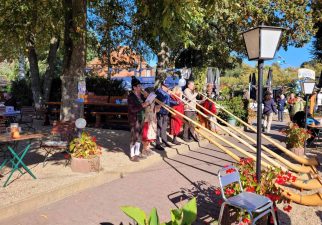 Thyes_IMG-20211011-WA0004_mk