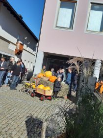 b74c5361-dc11-434c-bebc-685ea5680300