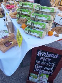 baf92e24-4525-45f7-93fb-820c68e7d758