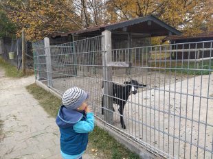 c3e577f4-f2c9-4b90-b5a3-6a1e9d27b5f9