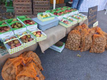 c3e81700-b6e0-4c8b-95dd-eba20a44b54b