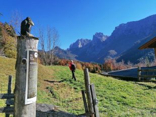 c6b81754-d967-411c-9252-0462443a5466