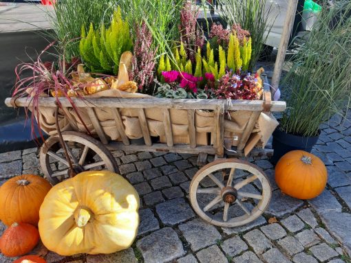 cba7e2df-1067-4769-beac-c8592ae29a3e