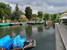 d12923e5-f53e-4bd7-90d2-aeb9de250ea7