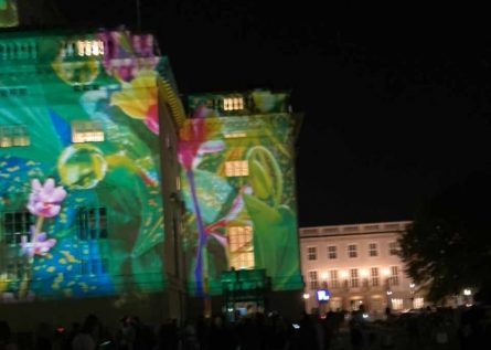 d2a13b7f-d961-4ac7-afc3-597a7e35b9e9