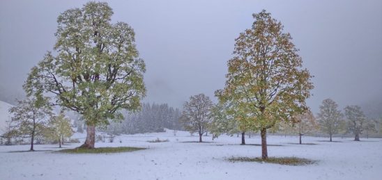 d5b0af69-fe36-4e7b-b9e6-9920032cee6b