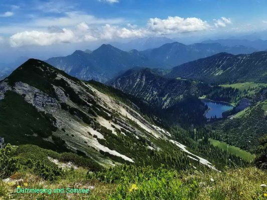 duerrmiesing soinsee