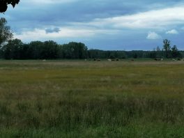 f4a429b9-dcf4-4028-8c12-0ce199197a99