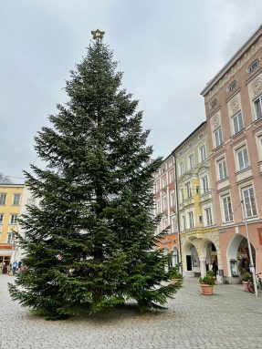 facded5f-f43f-402e-8854-2c0e55ba22d8