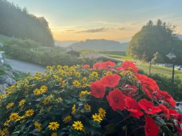 ffcea757-fa26-4948-8d50-9f88caf17d35