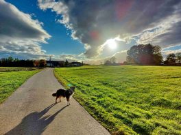 kl-1ef57ed0-5024-42ce-ba15-f2eb7a9ecf1b