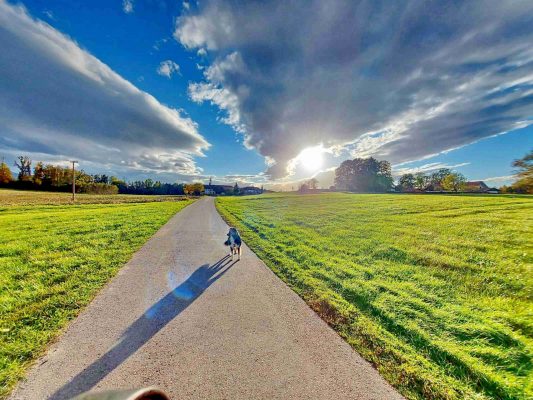 kl-77326f1e-5bd9-4c49-bef0-f8baf5697d0b