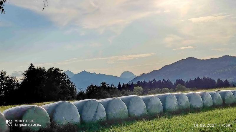 kl-IMG_20210914_175900