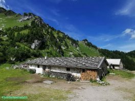 kleintiefentalalm