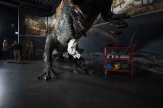 lokschuppen-spino-neu-1360-2000