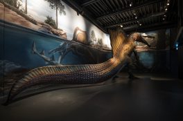 lokschuppen-spino-neu-1704-2000