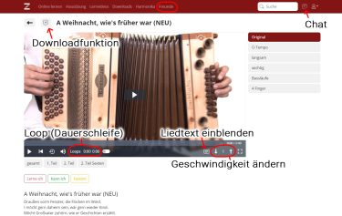 neue Website V2b